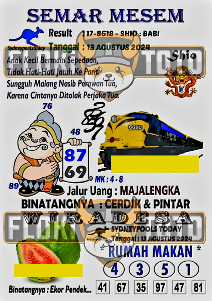 SYAIR SDY VIP
